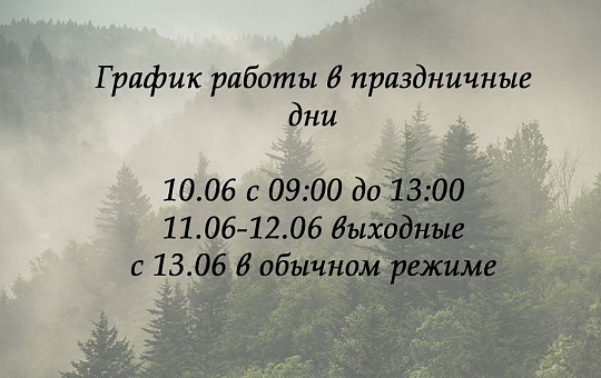 График работы на 12.06.2023 Новосибирск/Казань