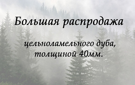 Краснодар. Распродажа дуба.