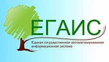 Лес ЕГАИС. Что это такое?