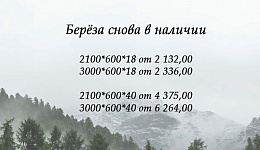 Береза снова в наличии в Новосибирске 