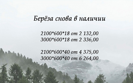 Береза снова в наличии в Новосибирске 